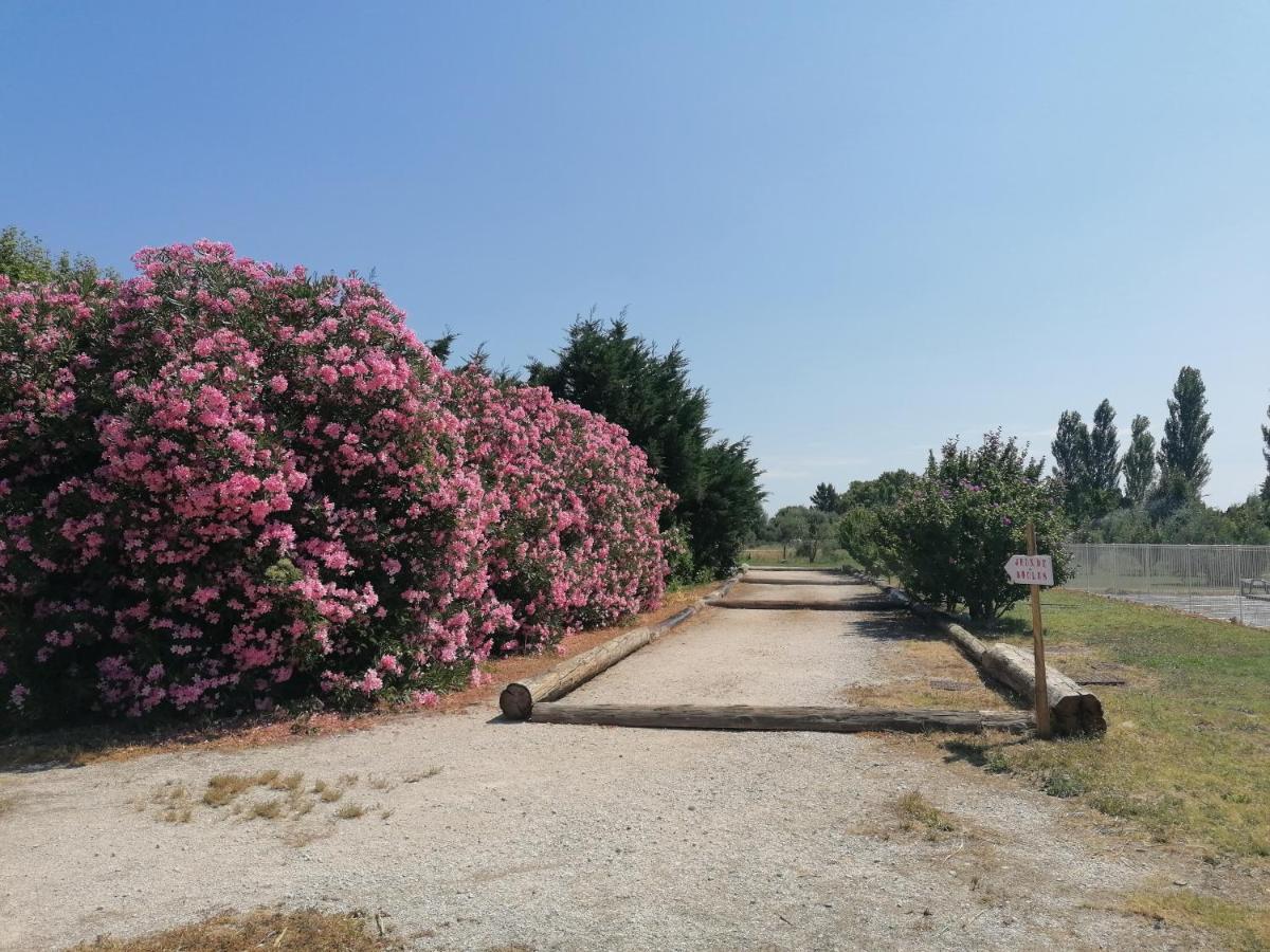 Les Gites Du Mas Canillac Châteaurenard Exterior foto